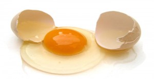 SANYO DIGITAL CAMERA