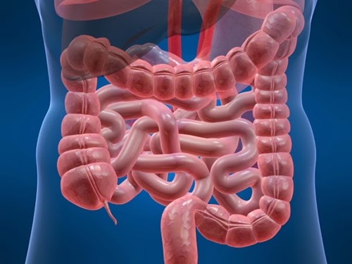 síndrome de intestino permeable