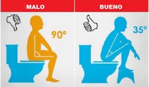 usar el toilet