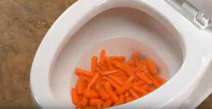 zanahoria en toilet