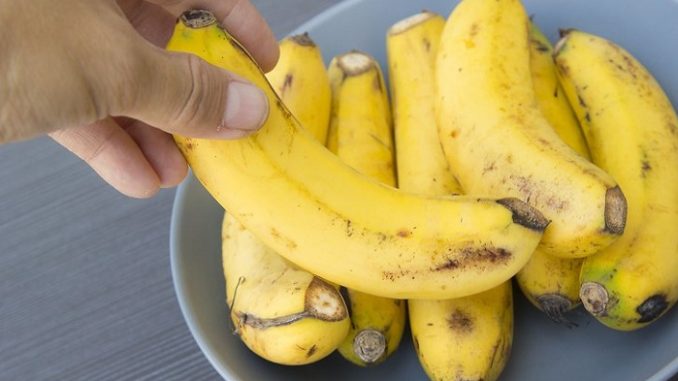 banana-platano