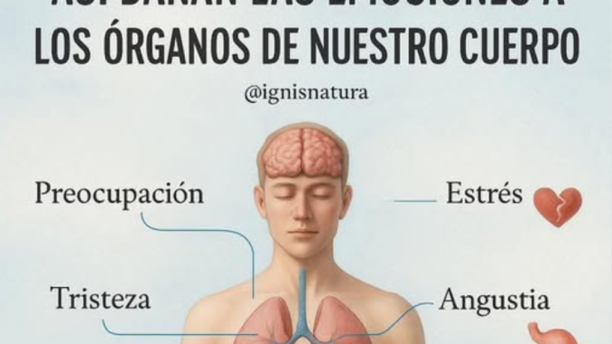 Cómo las emociones dañan nuestro cuerpo: el impacto invisible de lo que sentimos – Tu Salud Es Vida ….