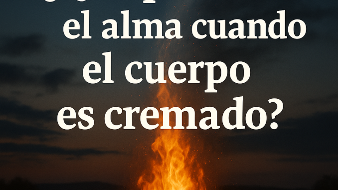 edd810b1-43b2-4cd4-ac7e-864911097534