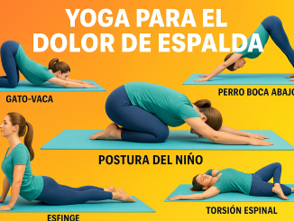 imagen de diferentes posiciones de yoga para el dolor de espalda
