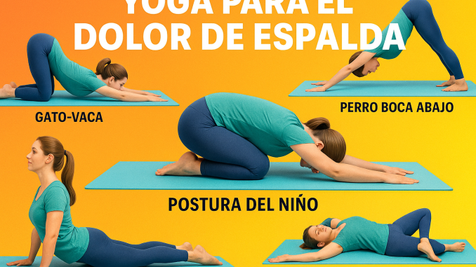 imagen de diferentes posiciones de yoga para el dolor de espalda