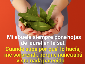 Mujer con uñas pintadas sostiene hojas de laurel frescas en sus manos, con fondo rojo y mensaje sobre un antiguo secreto de la abuela usando laurel y sal para protección y bienestar.